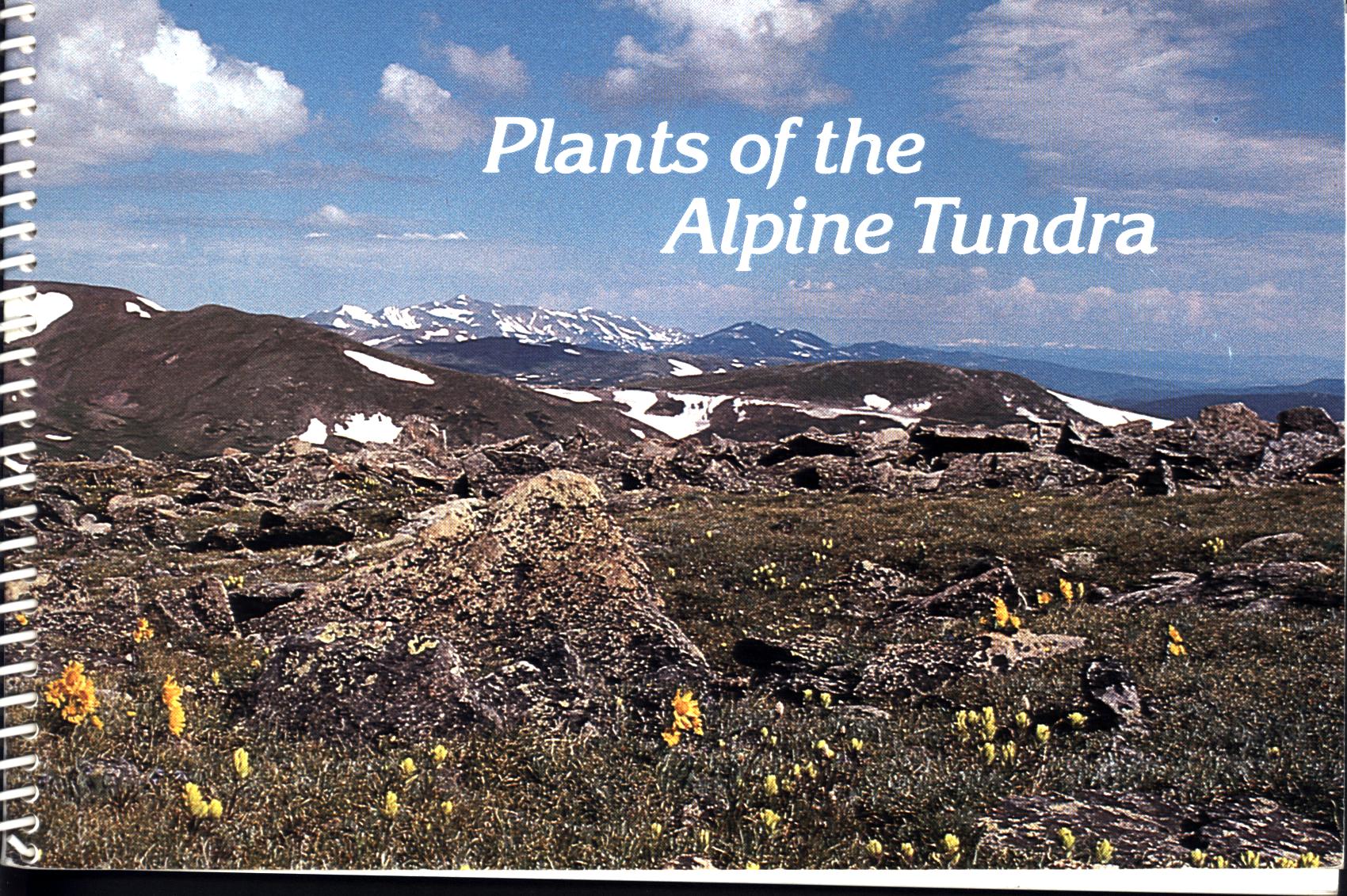 PLANTS OF THE ALPINE TUNDRA. 